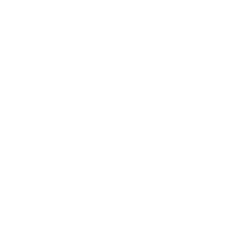 Nespresso Professionnel